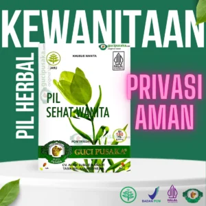 pil sehat wanita
